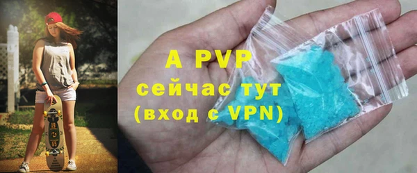 дмт Козельск