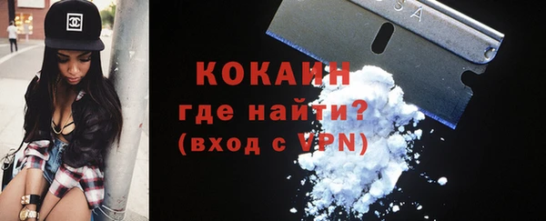 дмт Козельск