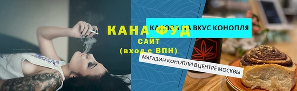 дмт Козельск