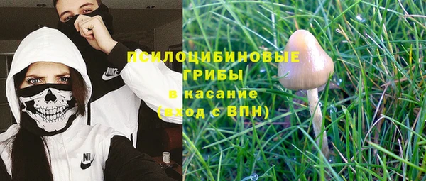 трава Киренск