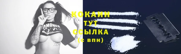 дмт Козельск