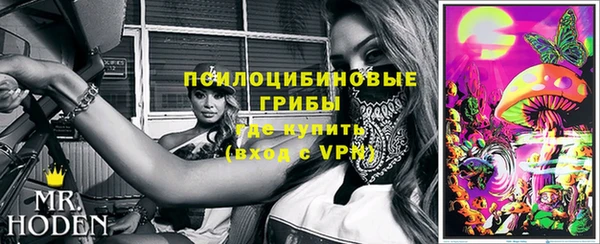 дмт Козельск