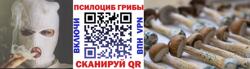 Купить закладки Жуковка Галлюциногенные грибы прущие грибы